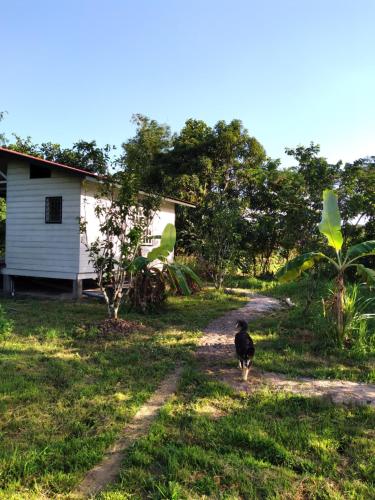 't Huske in 梅爾佐格