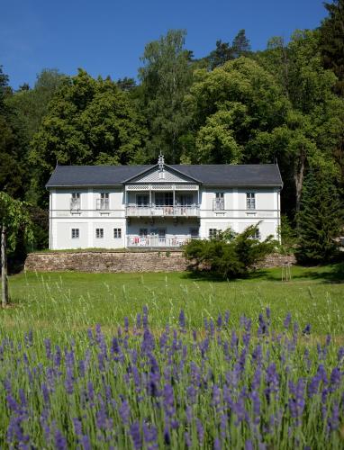 Pod lipami Pod lipami