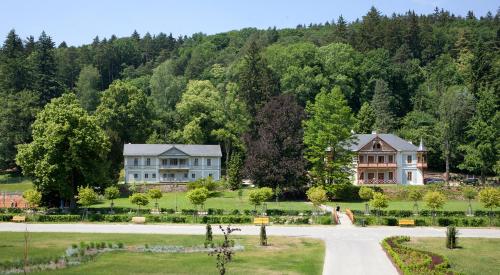 Pod lipami Pod lipami