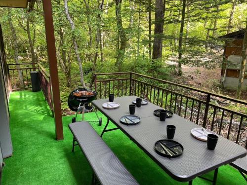シュネール北軽井沢 150平米の贅沢空間 北欧サウナ 任天堂Switch BBQ ドッグラン, Цумагои (фото 7)