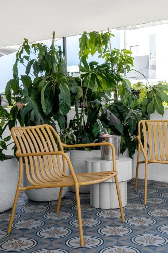 Mate Levinski - By HOMY Mate Levinski - By HOMY