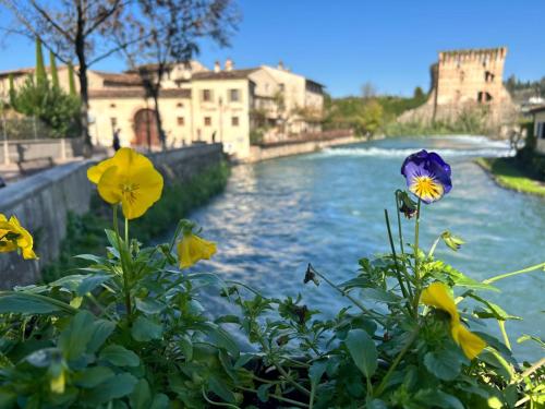  Casa del Borgo in Valeggio sul Mincio