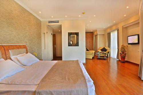 Grand Madrid Hotel, Стамбул (фото 8)