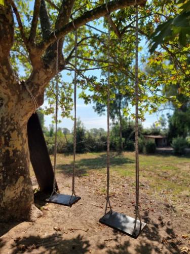 Garden, Escuelita Viva in Fiumicino Airport