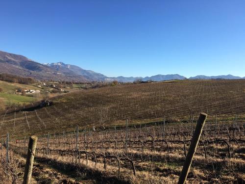 Agriturismo di Charme erbadoro - image 11