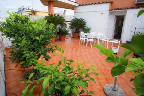 Oasi urbana - The Vatican Roof Garden
