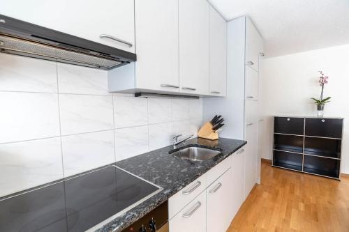 Executive 1BD flat in the city center - Hösch 2, Curych (fotografie 4)