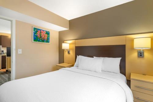Efficiency Queen Suite with Living room - Non Smoking