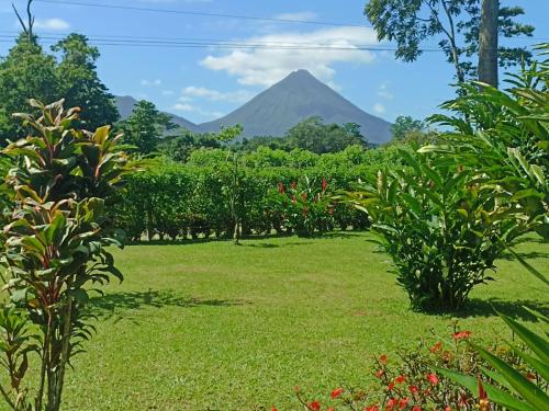 Villa Ceiba, Fortuna (photo 9)
