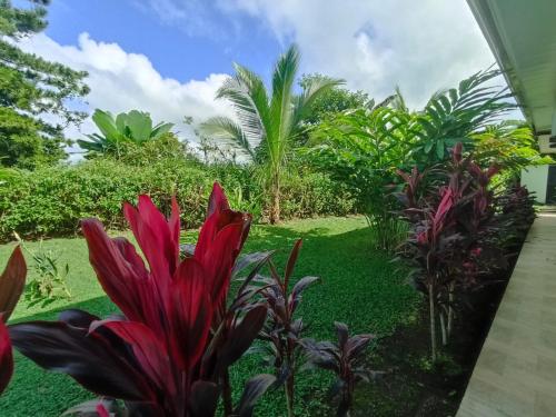 Villa Ceiba, Fortuna (photo 6)