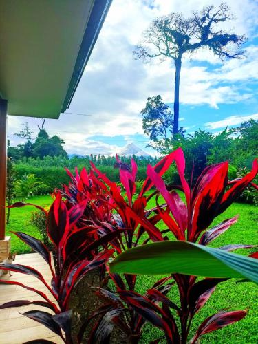 Villa Ceiba, Fortuna (photo 7)