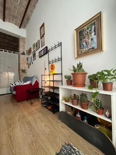 Artistic Student House