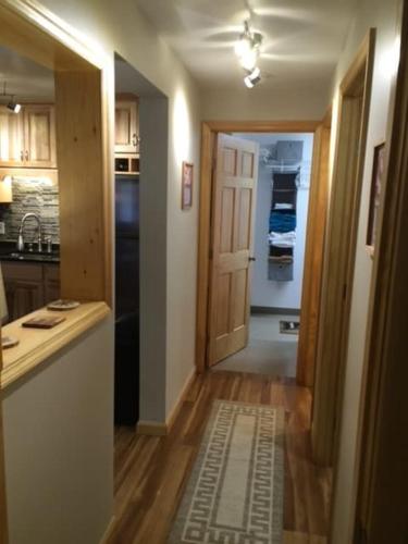 Updated Hunter Mtn Condo Walk to Slopes &Festivals in Lanesville, USA