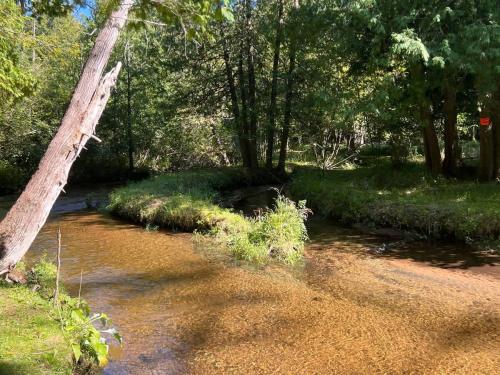 Chickadee Lodge Welcomes you - Year Round FUN in Luther, USA