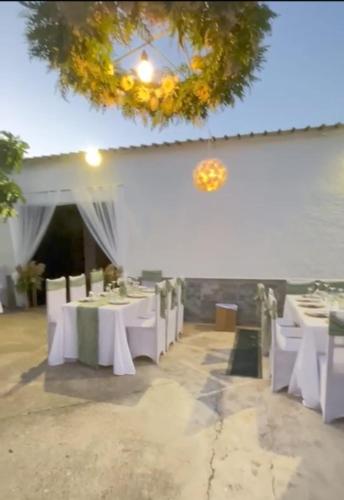CASA. LOLA in Almaden