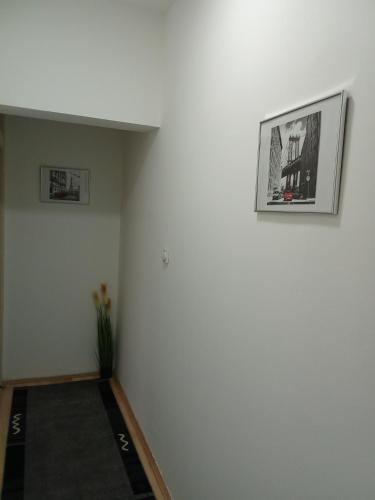Apartmani Janićijević 1 (Apartmani Janicijevic 1) in Dragoslava Srejovica