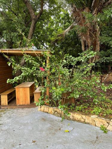Roatan Bed & Breakfast Apartments, Вест-Энд (фото 10)