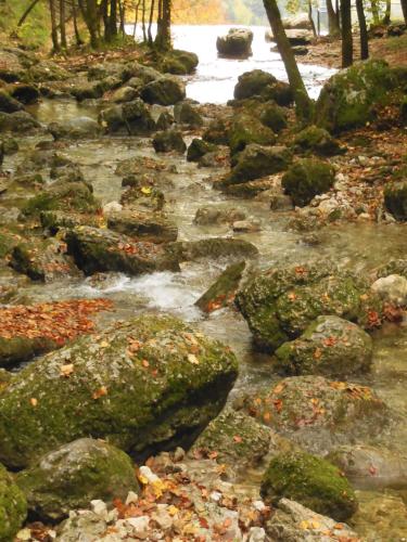 梅莱泽酒店 梅莱泽酒店