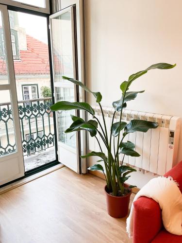 Stunning Luxury Apartment in Chiado 1BR, Lisboa (foto 8)