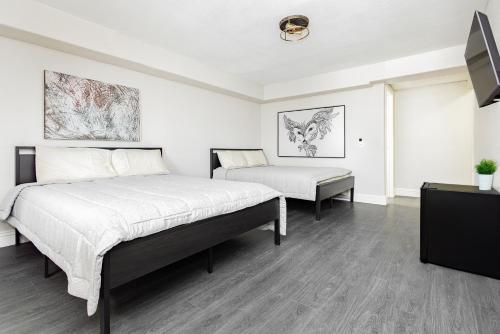 2 queen beds