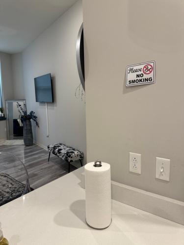 Beautiful Condo/Rooftop Patio With Free Parking in Cleveland, USA