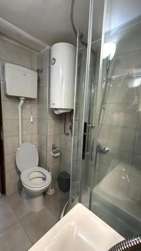 One-Bedroom Apartment image 10