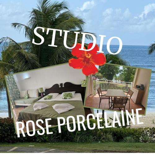 Studio Rose Porcelaine, vue mer - Location saisonnière - Sainte-Anne