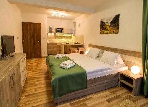 Standard Studio Apartment with Extra Bed image 10