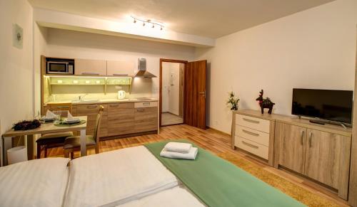 Standard Studio Apartment with Extra Bed image 5