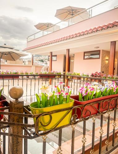 ห้องอาหาร, Hotel Sucre in เซนโตร อิสโตริโก