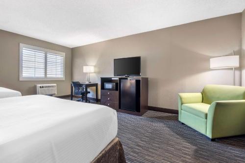 One-Bedroom Queen Suite with Sofa Bed
