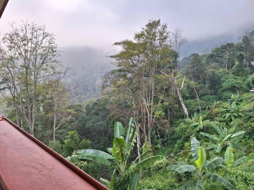 View, โฮมเสตย์ลาบา1 near Doi Tung Palace