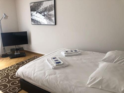 Bright studio in the city center - Greenyard 1, Zúrich (foto 5)