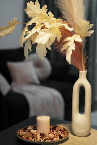 Vista apartment2 in Міньск-Мазовєцький