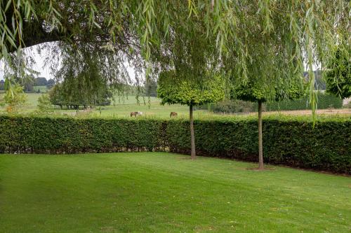 B&B Bertem Natuur - image 13