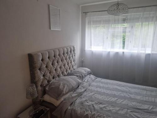 modern cozy one bedroom flat