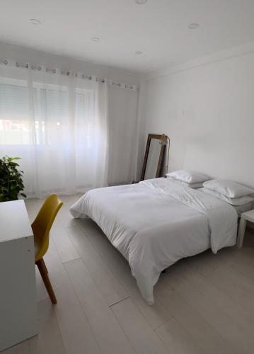 Orquídea BnB Cacém