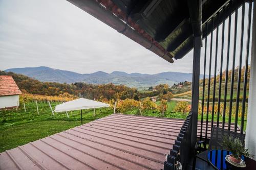 Навколишнє середовище, Apartment Trta with Vineyard View in Podsreda