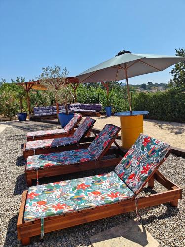 Garden, Casa Viajano - Dependance Villa Marseille in Les Olives