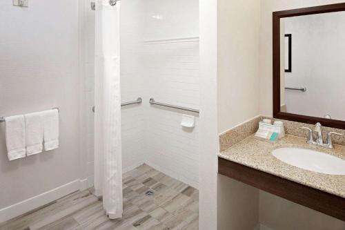 Hilton Garden Inn Tampa Ybor Historic District - image 6