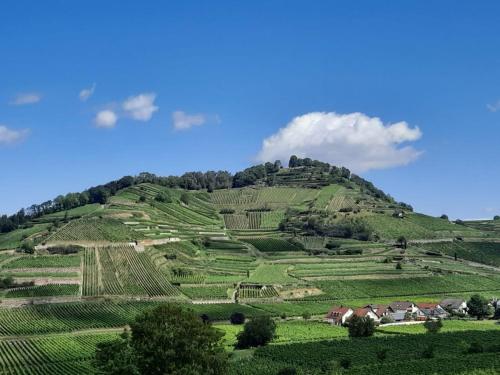 Hotel Vulkanstüble – Vogtsburg im Kaiserstuhl, TX