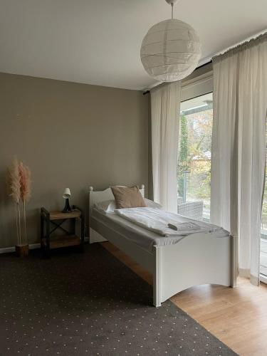 Nest Natur Hostel, Vídeň (fotografie 6)