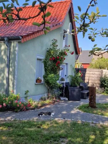 Marin in Barth, Deutschland