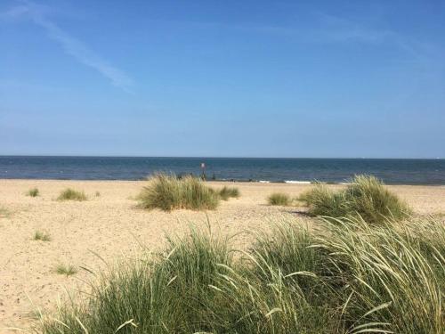 Moray Beachside Apartments - image 14