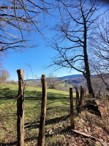 Loft Via Nova 4 pers 65 m2 in Lavoine