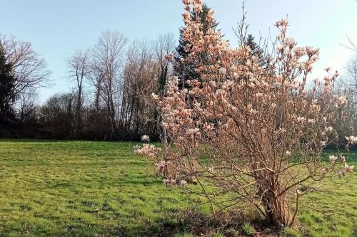 Garden, Espace Spirituel in Saint-Sulpice-le-Dunois