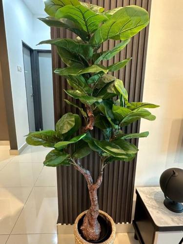 Parc Regency 2 Bedroom Parc Regency 2 Bedroom