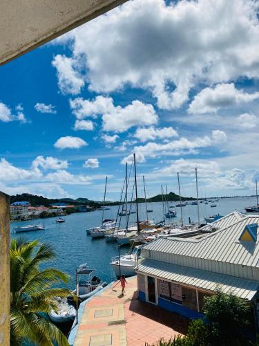 Studi0 coco0n, vue sur la marina, Marigot (photo 4)