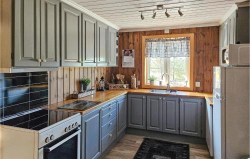 廚房, Awesome Home In Hjartdal With Kitchen in 亞爾特達爾
