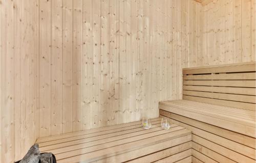 Activitats, Nice Home In Ringkøbing With Sauna in Ringkobing